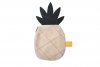 Monedero Piña